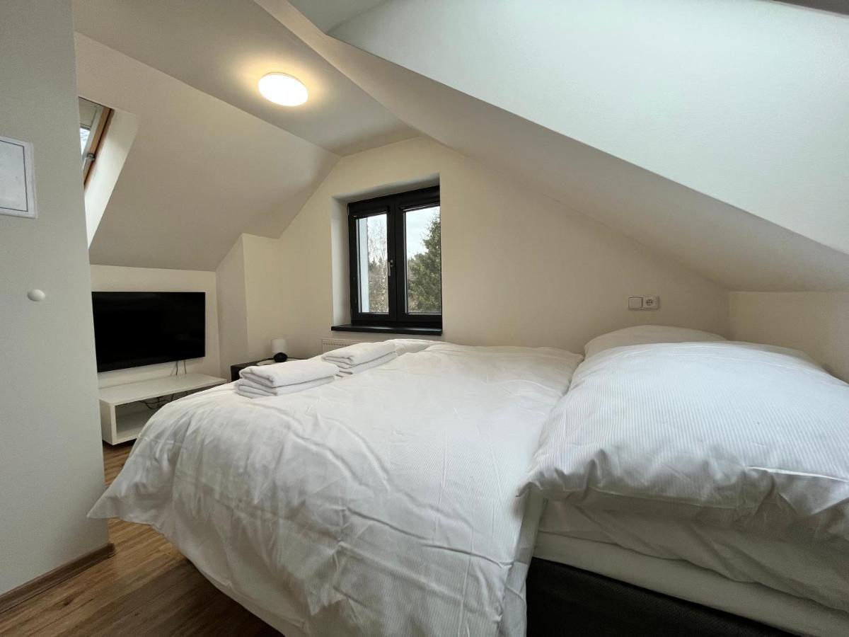 Plessberg Apartments Plesivec Abertamy Bagian luar foto
